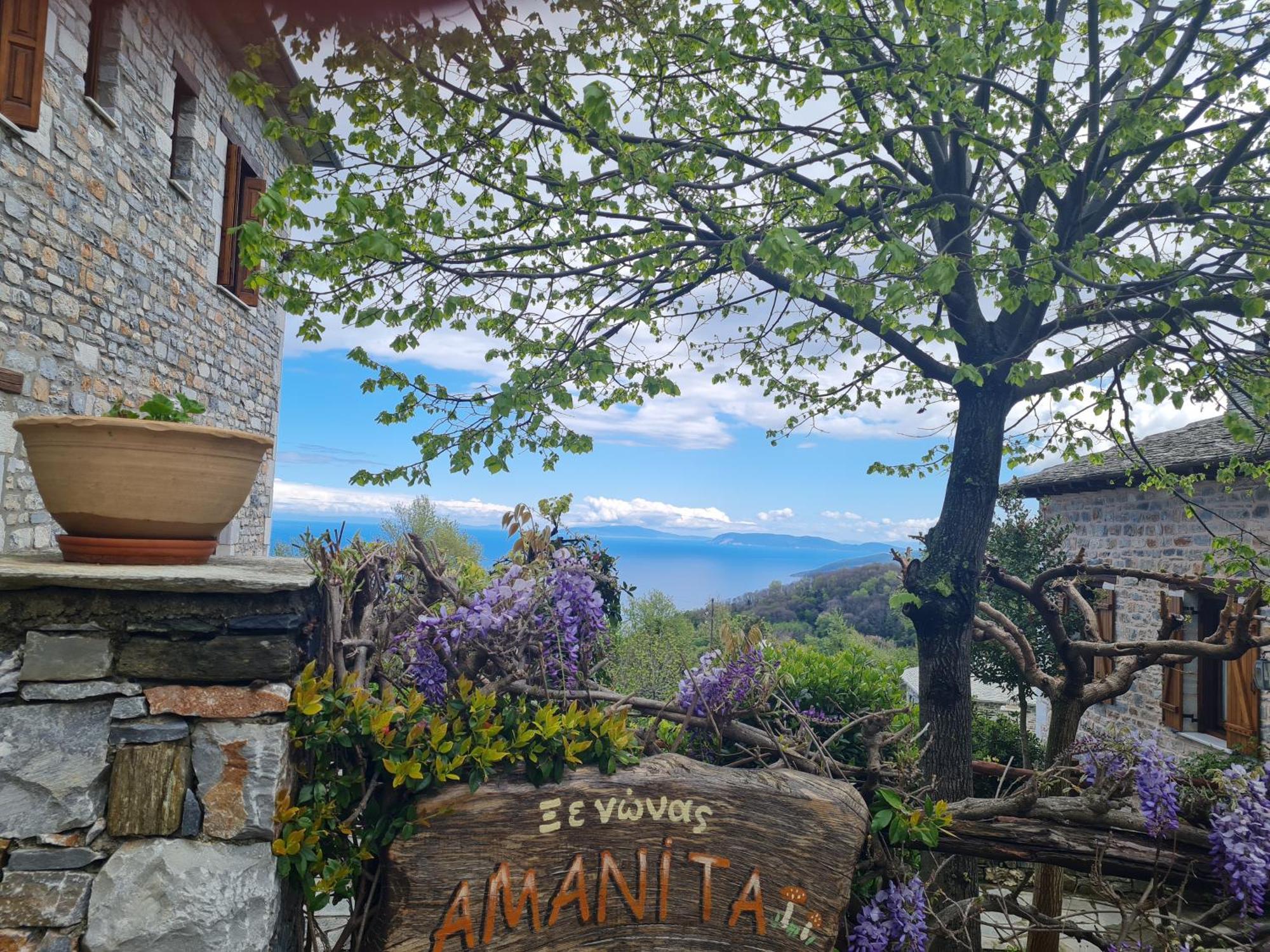 Amanita Boutique Hotel Cangaráda Kültér fotó